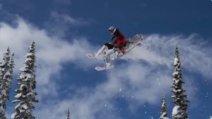 ПРОФЕССИОНАЛЬНЫЕ РАЙДЕРЫ В ДЕЛЕ