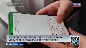 16-летняя школьница предстанет перед судом за дропперство