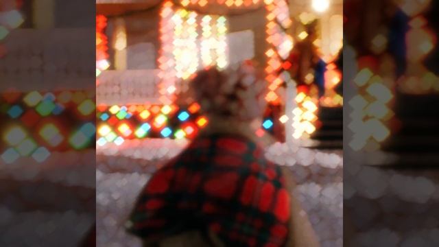 ОДИН ДОМА | СКОРО НОВЫЙ ГОД | ЭДИТ 19 | КЕВИН МАККАЛЛИСТЕР смотреть онлайн