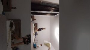 мистр номер 7