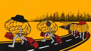 Охота на гениев: как Россия хочет повернуть «утечку мозгов» вспять