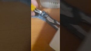 бумажные собаки⚡