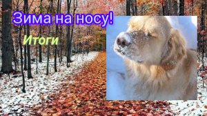 Итоги СП "Зима на носу"!