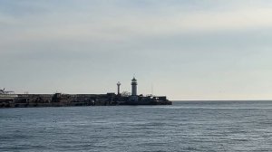 Ялта. Море. Утки. Елку возводят. Набережная им. Ленина.  Солнечный ноябрь 2025. Крым. Crimea. Yalta