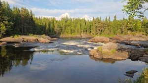 Шляпная природа