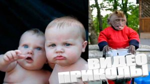 ЛУЧШИЕ ПРИКОЛЫ 2025 | ПРИКОЛЫ 2025 | СВЕЖИЕ ПРИКОЛЫ 2025 | РЖУ НЕ МОГУ |