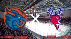 Шанхайские Драконы - Торпедо