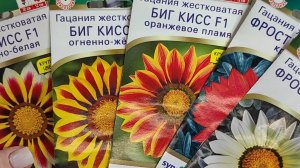 Семена цветов на 2026 сезон, изобилие сортов и красок