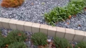 Хождения по мукам продолжаются. Продолжаю заливать пол.