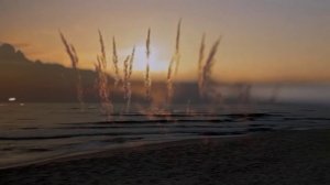 Александр Соосаар - Сладкая горькая женщина