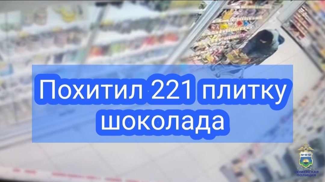 В Тюмени полицейские задержали подозреваемого в краже 221 плитки шоколада смотреть онлайн