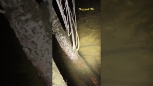 Воронеж, ЖК Лазурный