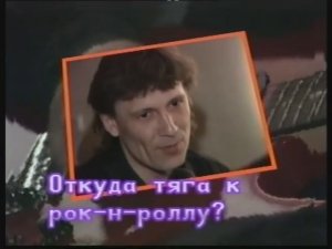 Всё это рок-н-ролл. Коллекция бабочек