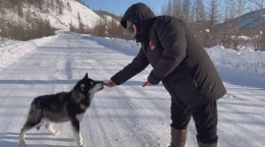 Поездка на север pandasakha #путешествие #арктика