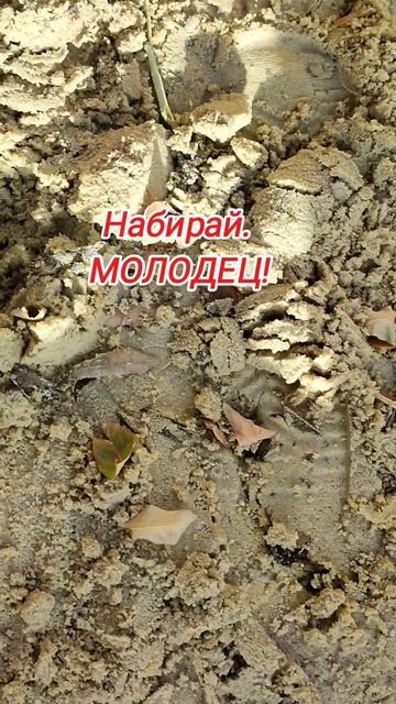 Начинаем играть с лопаткой 1год+