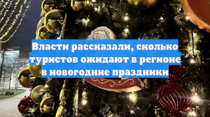 Власти рассказали, сколько туристов ожидают в регионе в новогодние праздники