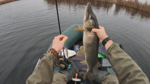 РЫБАЛКА НА КРУЖКИ В ДЕКАБРЕ