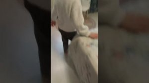 Алиска киска