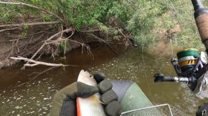 🎣КРАСАВЧИК🎣fishing#туризм#природа#ловля#рыбалка#щука#ловлящуки#ночевка#Чулым#река#спиннинг