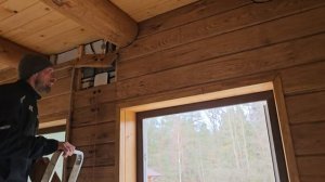 Лесной хутор. Какой цвет выбрали для сруба бани. Новые