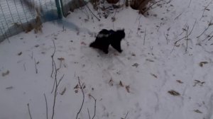 Обход территории.