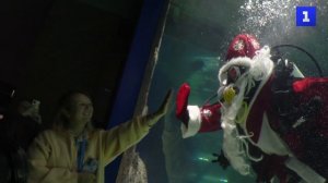 Дед Мороз погрузился к подводной новогодней ели в «Москвариуме»