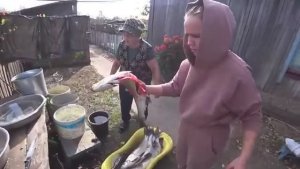 РЫБАЛКА НА АМУРЕ.  ПОЙМАЛИ ЖЕЛТОЩЁКА.