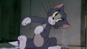 Том и Джерри . 4серия «Трусливый кот» смотреть бесплатно в хорошем качестве