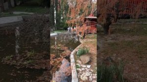 СОЧИ 6 декабря!👌