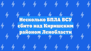 Несколько БПЛА ВСУ сбито над Киришским районом Ленобласти