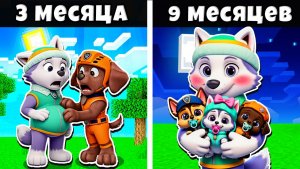 😳 МАЙНКРАФТ, НО ЭВЕРЕСТ ЩЕНЯЧИЙ ПАТРУЛЬ БЕРЕМЕННА В МАЙНКРАФТ!