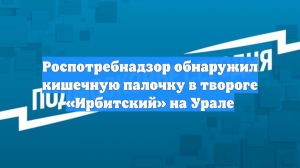 Роспотребнадзор обнаружил кишечную палочку в твороге «Ирбитский» на Урале