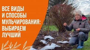 ЗИМНЕЕ МУЛЬЧИРОВАНИЕ: ВСЕ ВИДЫ И СПОСОБЫ
