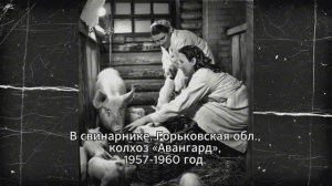 Тайная жизнь СССР 50 фото, которые не показывали в новостях  Проявка Памяти