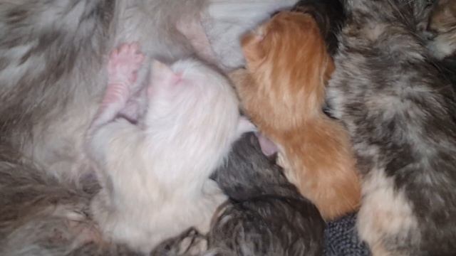 здравствуй мир 03.12.2025