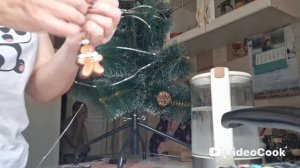 Vlog/183/Нарядила ёлочку,накормила родственников/Фильтры с Ozon..