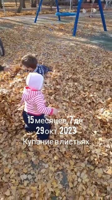 15 мес.,7 дн.Купание в листях.(29 окт.2023).mp4