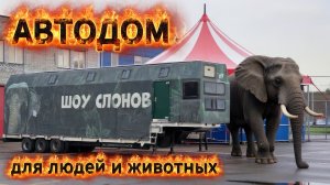 Полуприцеп для проживания людей и животных. Автодом для всех!