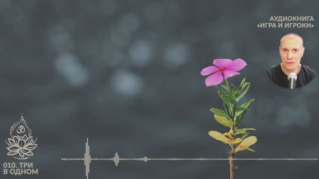 Игра и Игроки. 010. Три в одном. Сиддханта (Вячеслав Чернин)