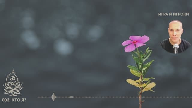 «Игра и Игроки». 003. Кто я? Сиддханта (Вячеслав Чернин)