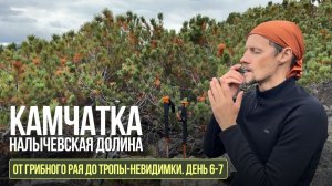 День 6-7. Камчатка: от грибного рая до тропы-невидимки Крузенштерна