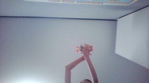 это так упал тупой саймон официал так как он меня обзывал!