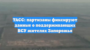 ТАСС: партизаны фиксируют данные о поддерживающих ВСУ жителях Запорожья