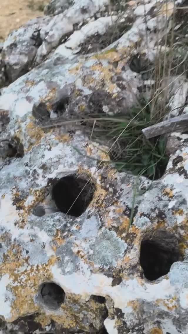 Карст Верхний Эоцен Симферополь