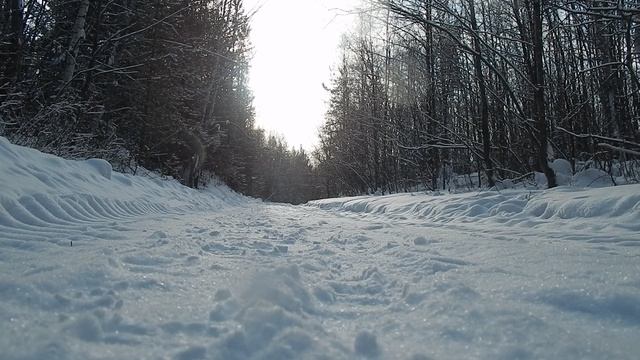 Зимняя дорога