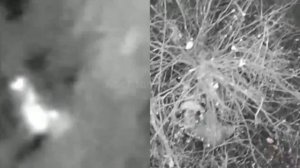 Апти Алаудинов "АХМАТ". Работа операторов БПЛА группы "Каштана"