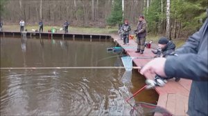 Фрикционы жужжат со всех сторон. Клёвое место, Лосиный остров, спорт-зона.