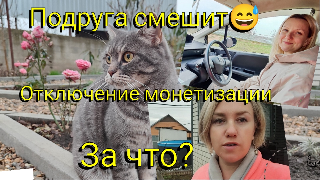 Телеграмм отключил мне рекламу! За что? Подруга заглянула на огонёк 🔥