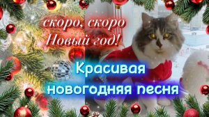 НОВАЯ новогодняя песня СКОРО НОВЫЙ ГОД!