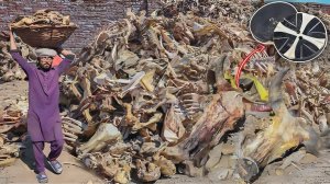 Как перерабатывают кости животных  в костяные пуговицы премиум-класса. Индия